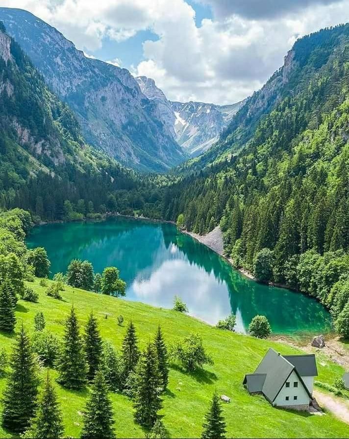 Шале Cottage Borje Жабляк