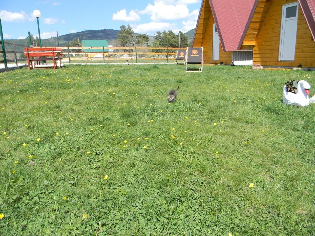 Шале Cottage Borje Жабляк-28