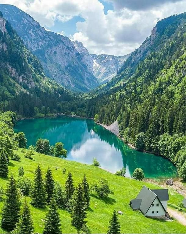 Шале Cottage Borje Жабляк