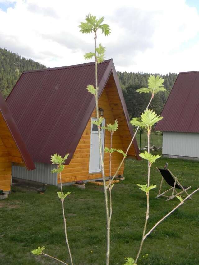 Шале Cottage Borje Жабляк-29